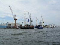 Hanse sail 2010.SANY3810